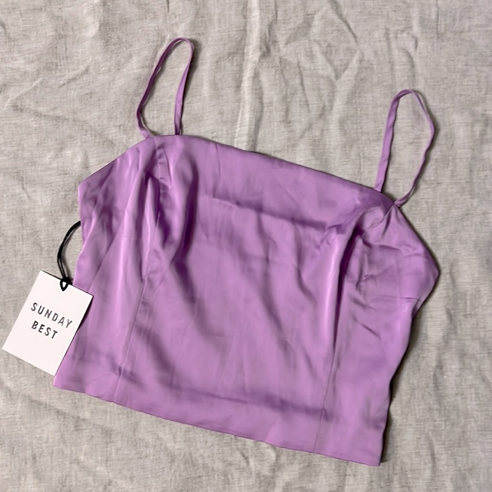 NWT Aritzia Sunday Best Shimmer Crop Top